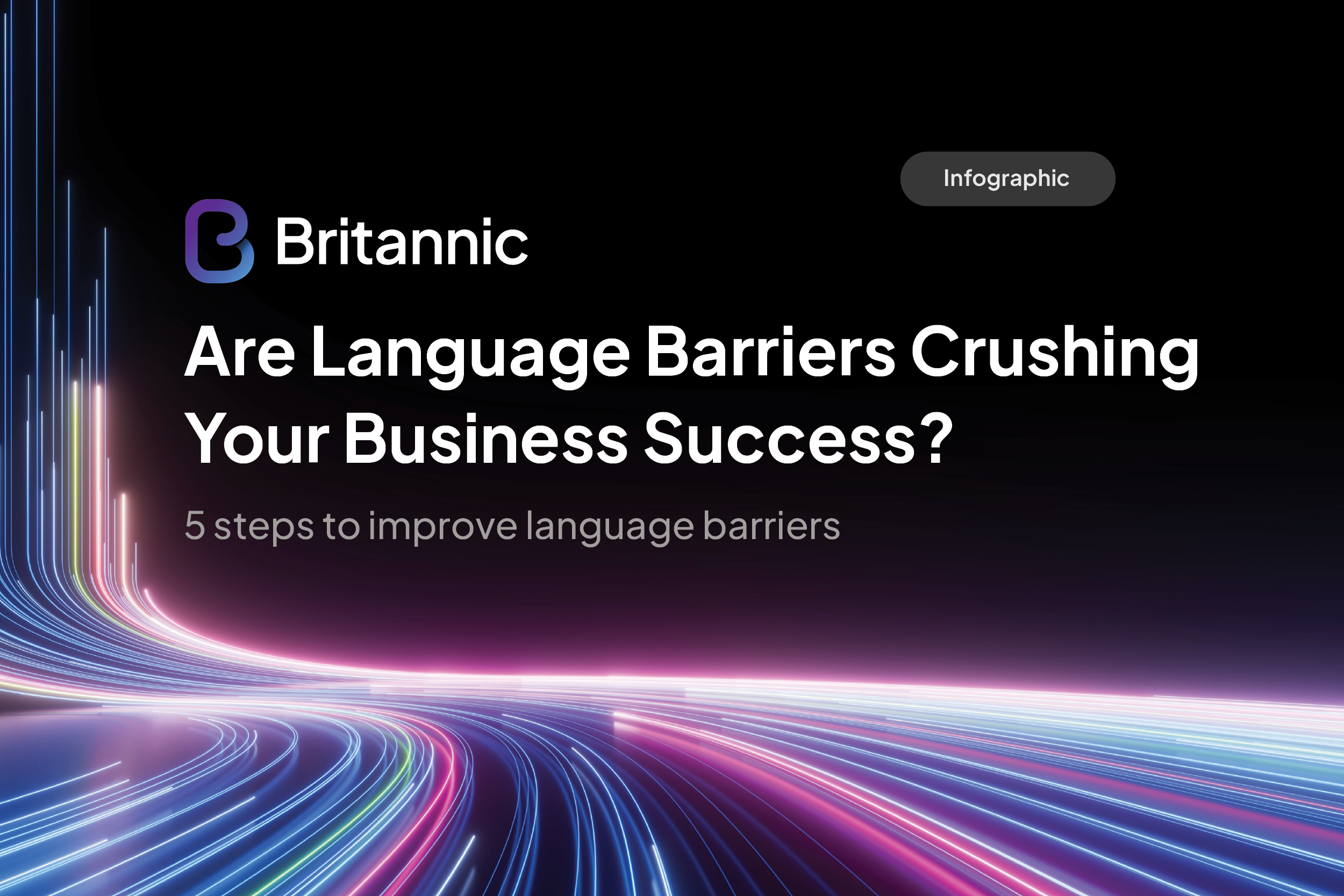 Britannic NetTranslate Solution Infographic